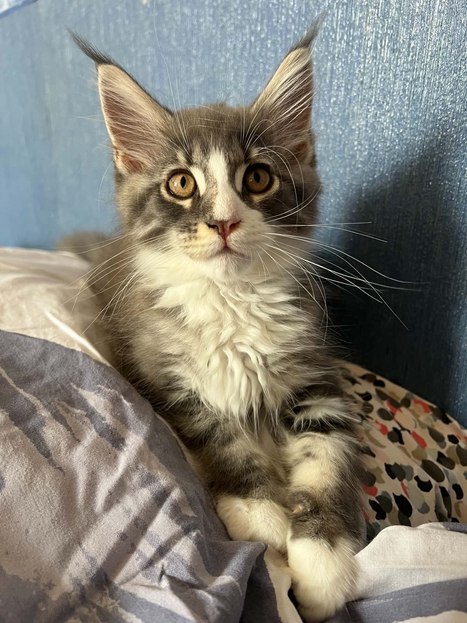 Billy