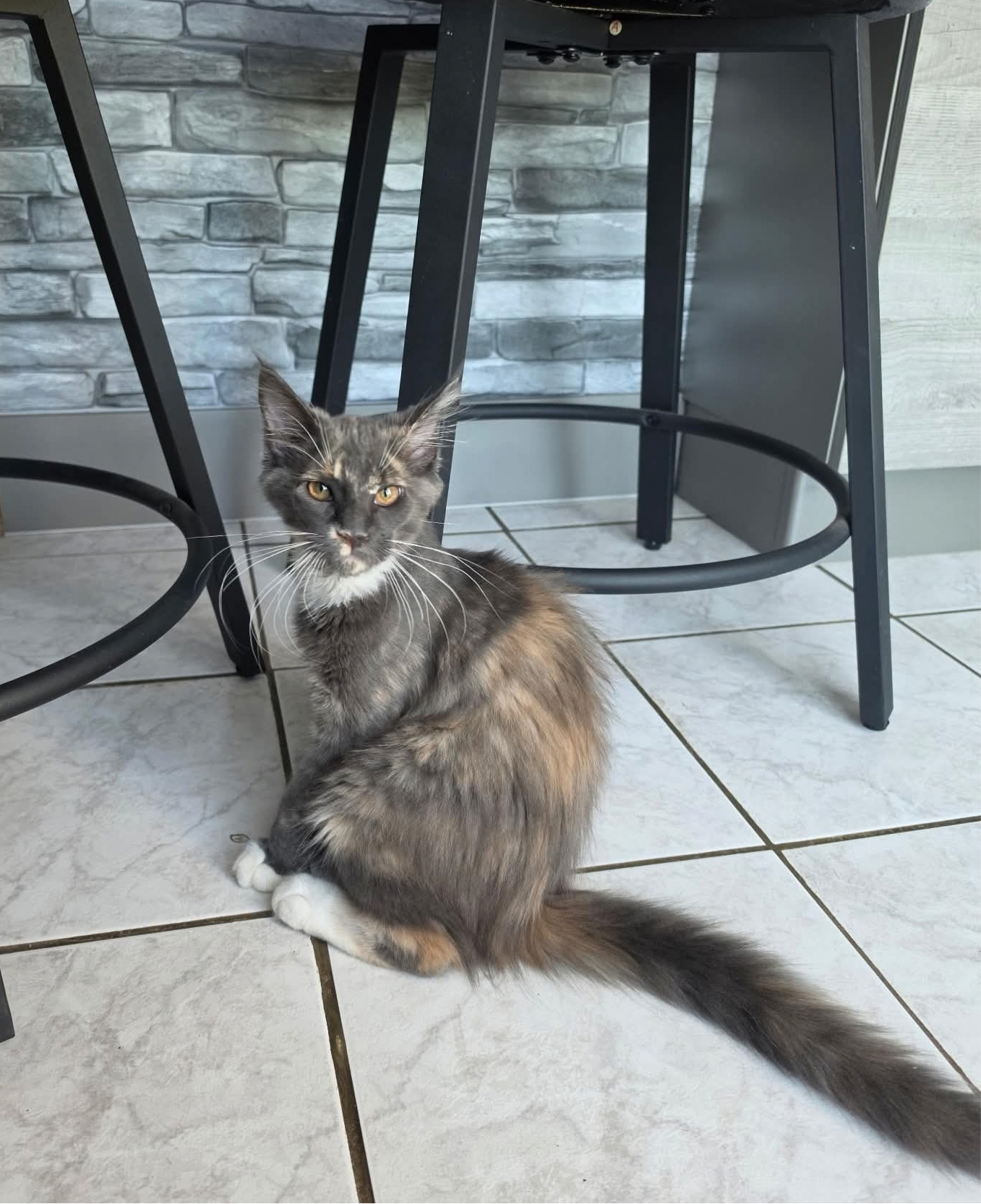 Bonnie — photo 2 sur 2