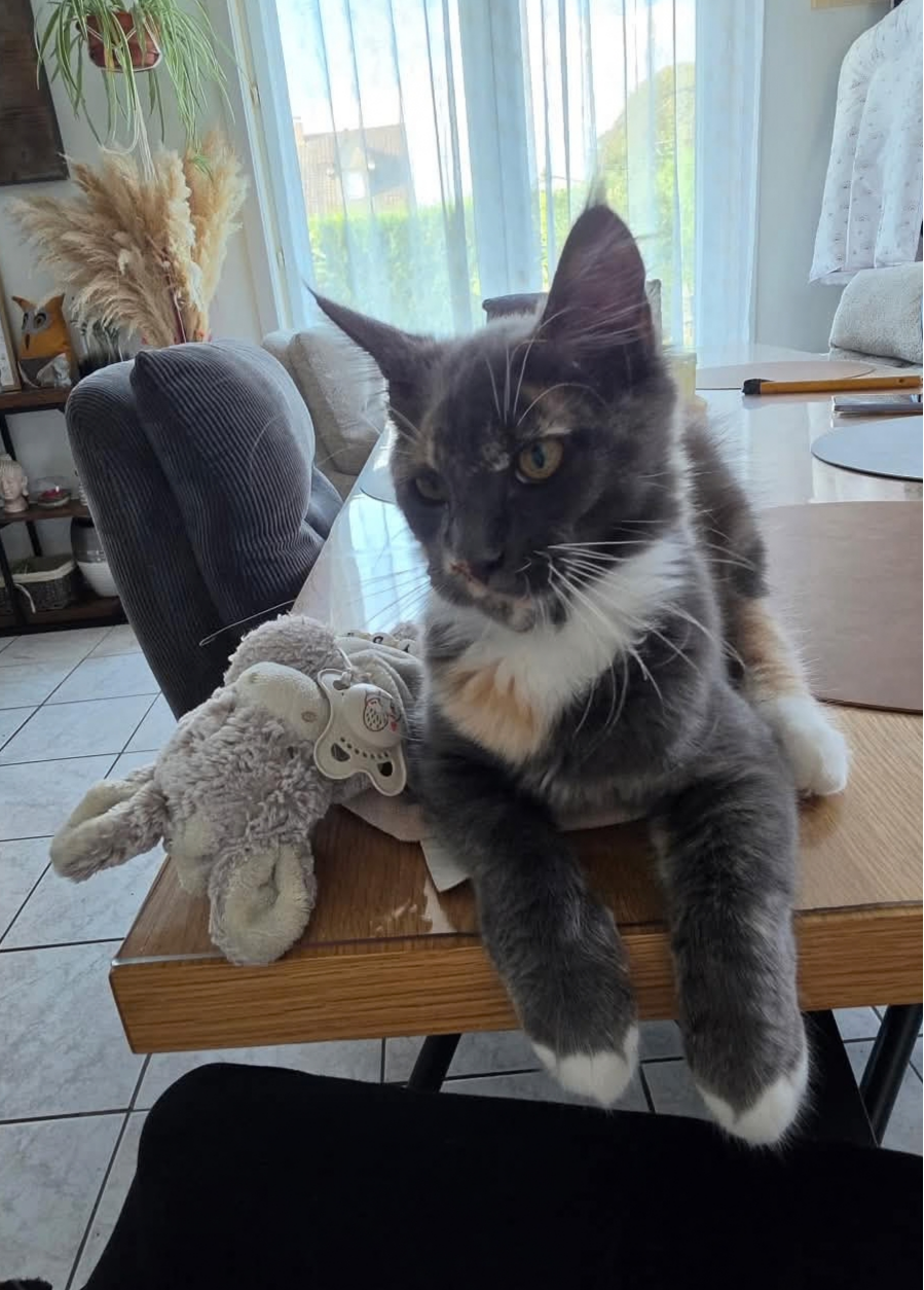 Bonnie