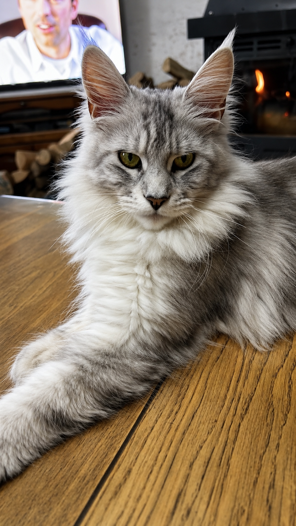Athena